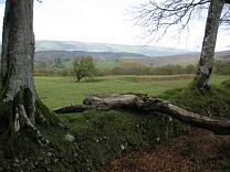 Sweetworthy Enclosure. 2009 © Exmoor National Park Authority Sweetworthy Enclosure. 2009 © Exmoor National Park Authority
