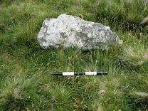 Stone 17 at Porlock Stone Circle from the south, 2009 © Exmoor National Park Authority Stone 17 at Porlock Stone Circle from the south, 2009 © Exmoor National Park Authority