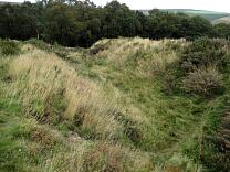 Northwest rampart and ditch of inner enclosure of Bury Castle from the west, 2009 © Exmoor National Park Authority Northwest rampart and ditch of inner enclosure of Bury Castle from the west, 2009 © Exmoor National Park Authority