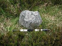 Stone D at Almsworthy Common Stone Setting from the east, 2009 © Exmoor National Park Authority Stone D at Almsworthy Common Stone Setting from the east, 2009 © Exmoor National Park Authority