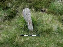 Stone J at Almsworthy Common Stone Setting from the south, 2009 © Exmoor National Park Authority Stone J at Almsworthy Common Stone Setting from the south, 2009 © Exmoor National Park Authority