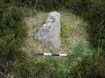 Stone L at Almsworthy Common Stone Setting from the north, 2009 © Exmoor National Park Authority Stone L at Almsworthy Common Stone Setting from the north, 2009 © Exmoor National Park Authority