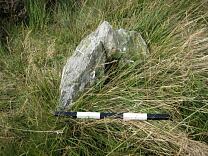 Stone 1 from the east, 2009 © Exmoor National Park Authority Stone 1 from the east, 2009 © Exmoor National Park Authority