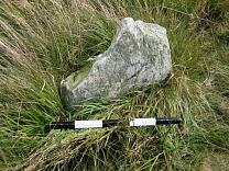 Stone 11 from the south, 2009 © Exmoor National Park Authority Stone 11 from the south, 2009 © Exmoor National Park Authority
