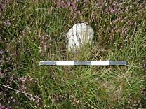 Stone 22 from the southeast, 2009 © Exmoor National Park Authority Stone 22 from the southeast, 2009 © Exmoor National Park Authority