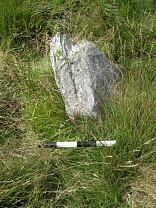 Stone 2 from the east, 2009 © Exmoor National Park Authority Stone 2 from the east, 2009 © Exmoor National Park Authority