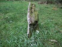 Culbone Stone from the north, 2009 © Exmoor National Park Authority Culbone Stone from the north, 2009 © Exmoor National Park Authority