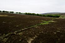No image caption available © Exmoor National Park Authority No image caption available © Exmoor National Park Authority