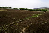 No image caption available © Exmoor National Park Authority No image caption available © Exmoor National Park Authority