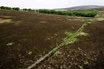 No image caption available © Exmoor National Park Authority No image caption available © Exmoor National Park Authority