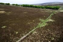 No image caption available © Exmoor National Park Authority No image caption available © Exmoor National Park Authority