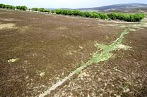 No image caption available © Exmoor National Park Authority No image caption available © Exmoor National Park Authority