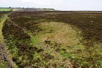 No image caption available © Exmoor National Park Authority No image caption available © Exmoor National Park Authority