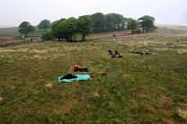 No image caption available © Exmoor National Park Authority No image caption available © Exmoor National Park Authority