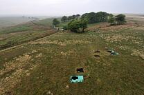 No image caption available © Exmoor National Park Authority No image caption available © Exmoor National Park Authority