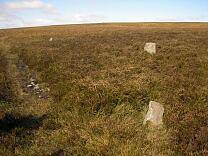 Stone setting on Almsworthy Common © Exmoor National Park Authority Stone setting on Almsworthy Common © Exmoor National Park Authority