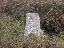 Stone setting on Almsworthy Common © Exmoor National Park Authority Stone setting on Almsworthy Common © Exmoor National Park Authority