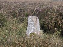 Stone setting on Almsworthy Common © Exmoor National Park Authority Stone setting on Almsworthy Common © Exmoor National Park Authority
