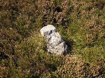 Stone setting on Almsworthy Common © Exmoor National Park Authority Stone setting on Almsworthy Common © Exmoor National Park Authority