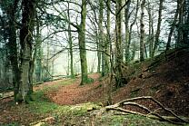 Bury Castle. 2005 © Exmoor National Park Authority Bury Castle. 2005 © Exmoor National Park Authority