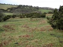 Sweetworthy Deserted Medieval Settlement. 2009 © Exmoor National Park Authority Sweetworthy Deserted Medieval Settlement. 2009 © Exmoor National Park Authority