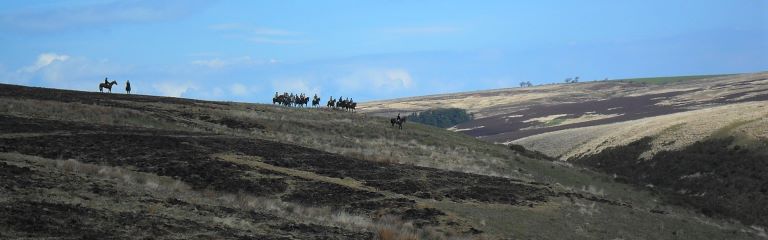 Image of the hunt at Lanacombe; © ENPA 2012