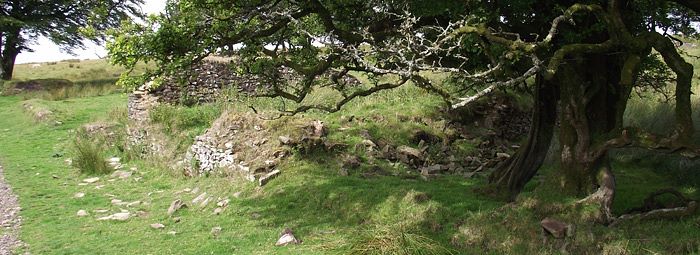 Ruined buildings at Larkbarrow Farm (© ENPA, 2013)