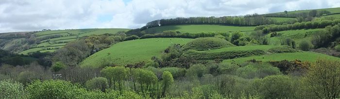 Image of Holwell Castle motte and bailey, Parracombe (© ENPA 2012)