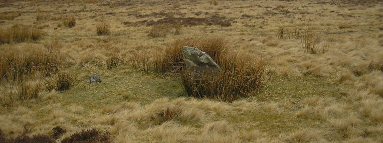 Single stone at Porlock Common Stone Circle (© ENPA 2013)