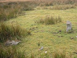 Lanacombe 3 Stone Setting, © ENPA 2012