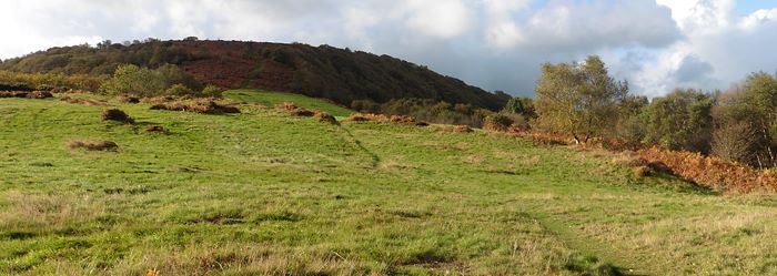 Myrtleberry North Camp; © ENPA 2014
